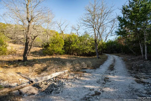 a view of a yard with a tree