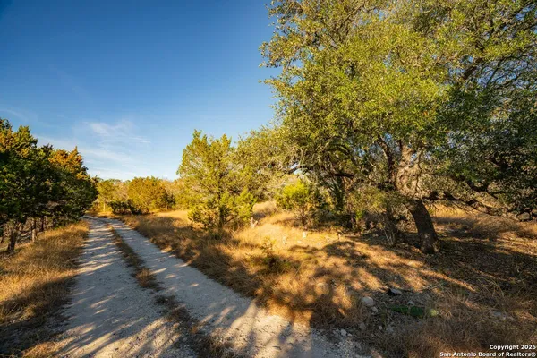a view of a yard with a tree