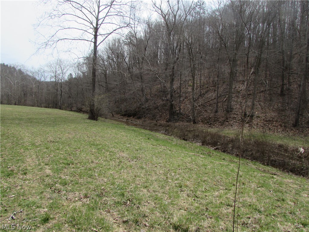 Bean Ridge Road Smithville, WV 26178 - Photo 10 of 34 Gallery Image 10