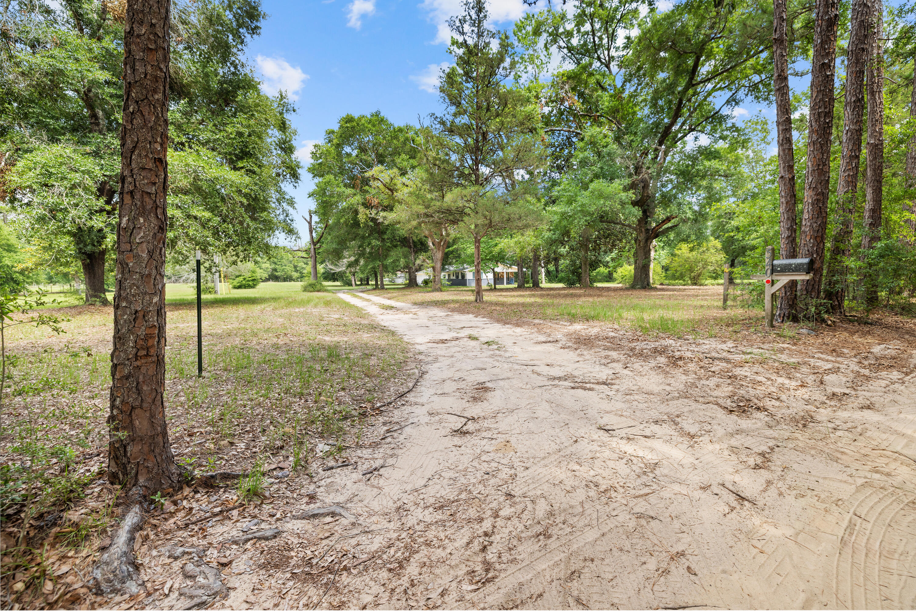 540 John King Road Crestview, FL 32539 - Photo 50 of 59 a view of a yard with trees