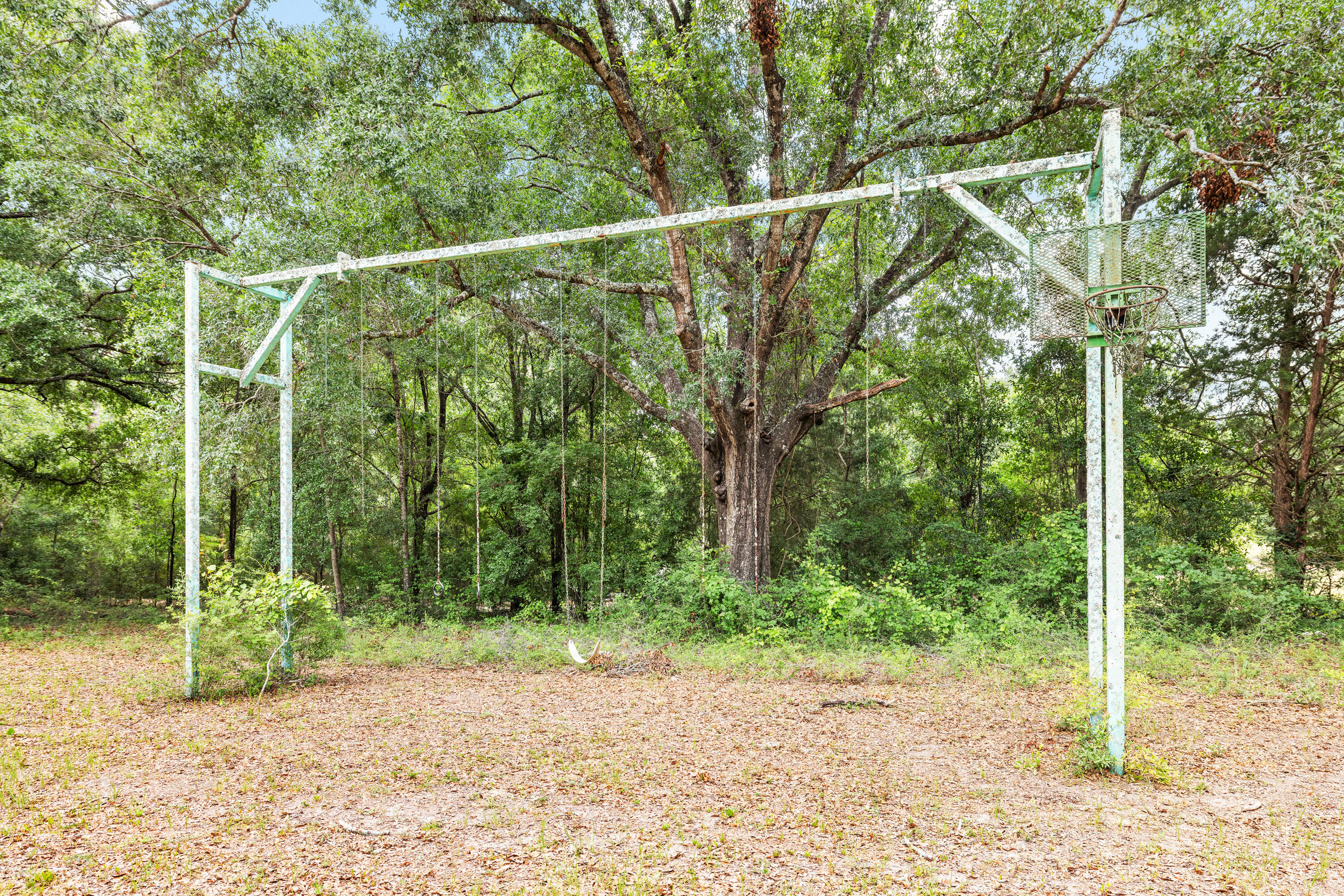 540 John King Road Crestview, FL 32539 - Photo 58 of 59 a view of a yard with potted plants and large trees