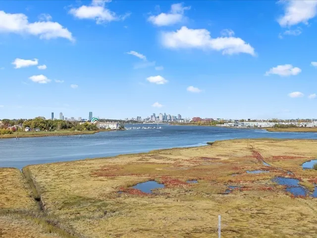 a view of closet with wooden floor