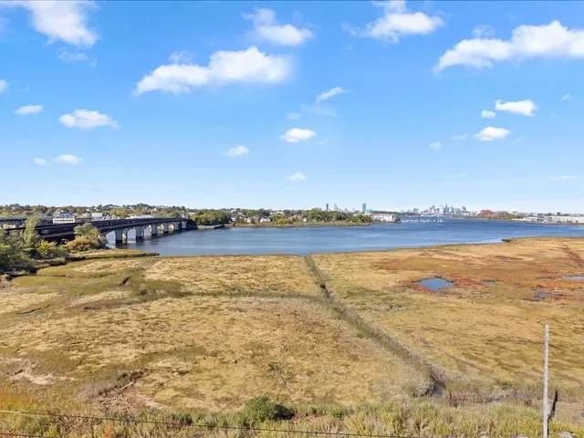 a view of a swimming pool with a lounge chair
