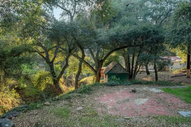 a view of backyard with green space