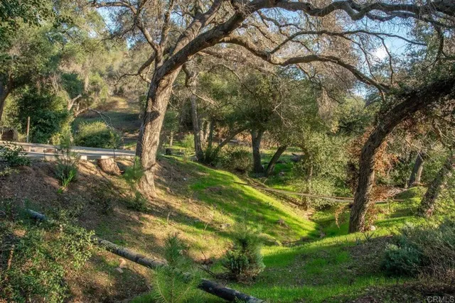 a view of a backyard of the house