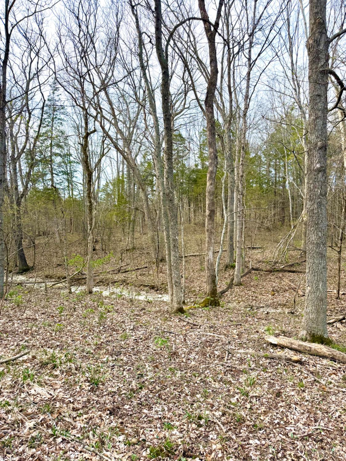 1600 Magee Jones Road Peebles, OH 45660 - Photo 11 of 91