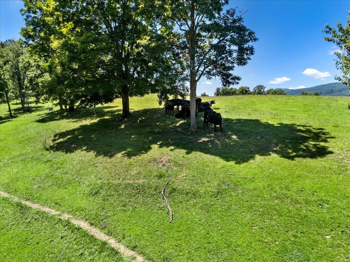 398 Penvir Road Narrows, VA 24124 - Photo 79 of 101 Gallery Image 79