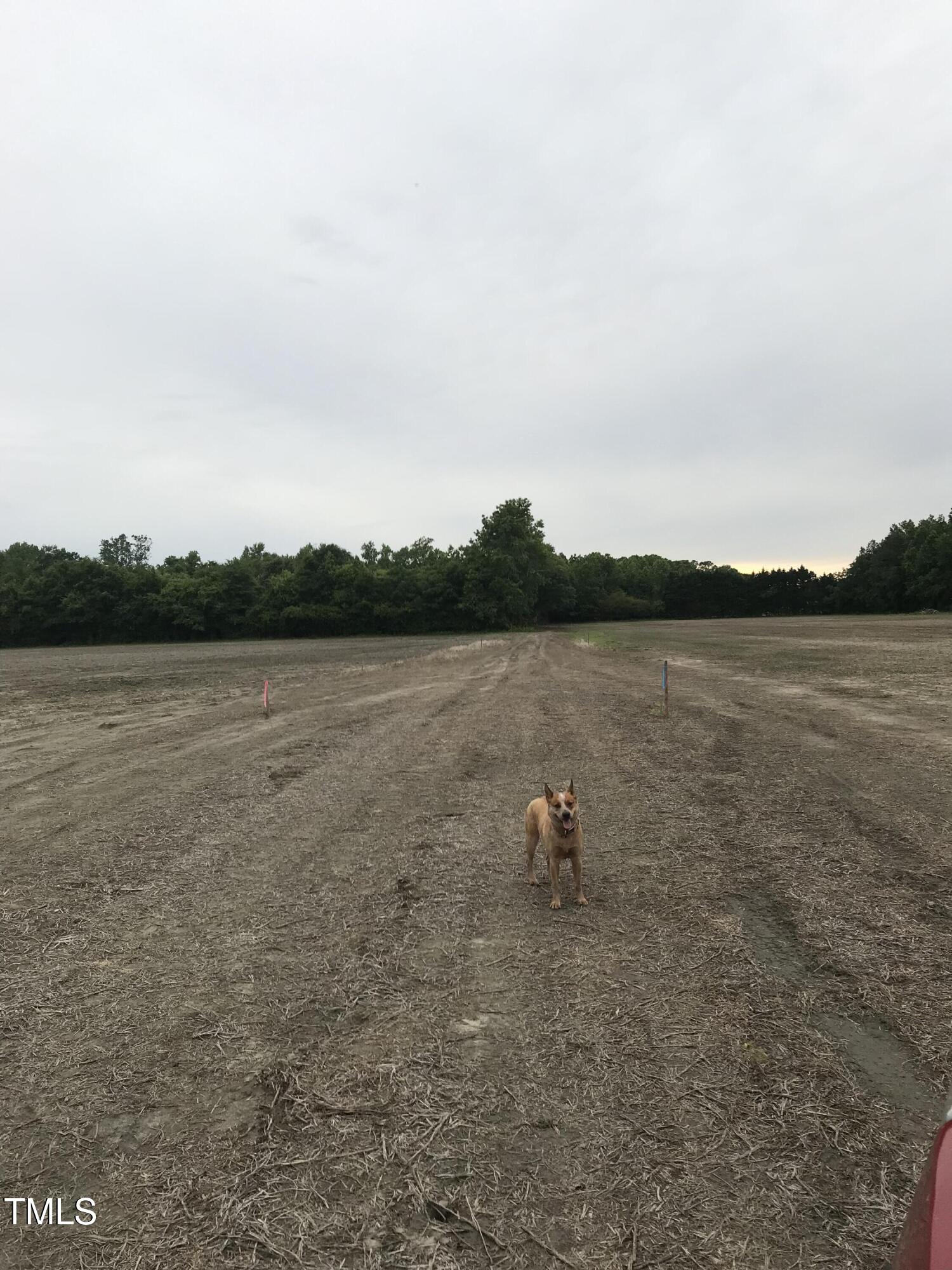 Undisclosed Address Whitakers, NC 27891 - Photo 2 of 2 a view of a lake with houses in background