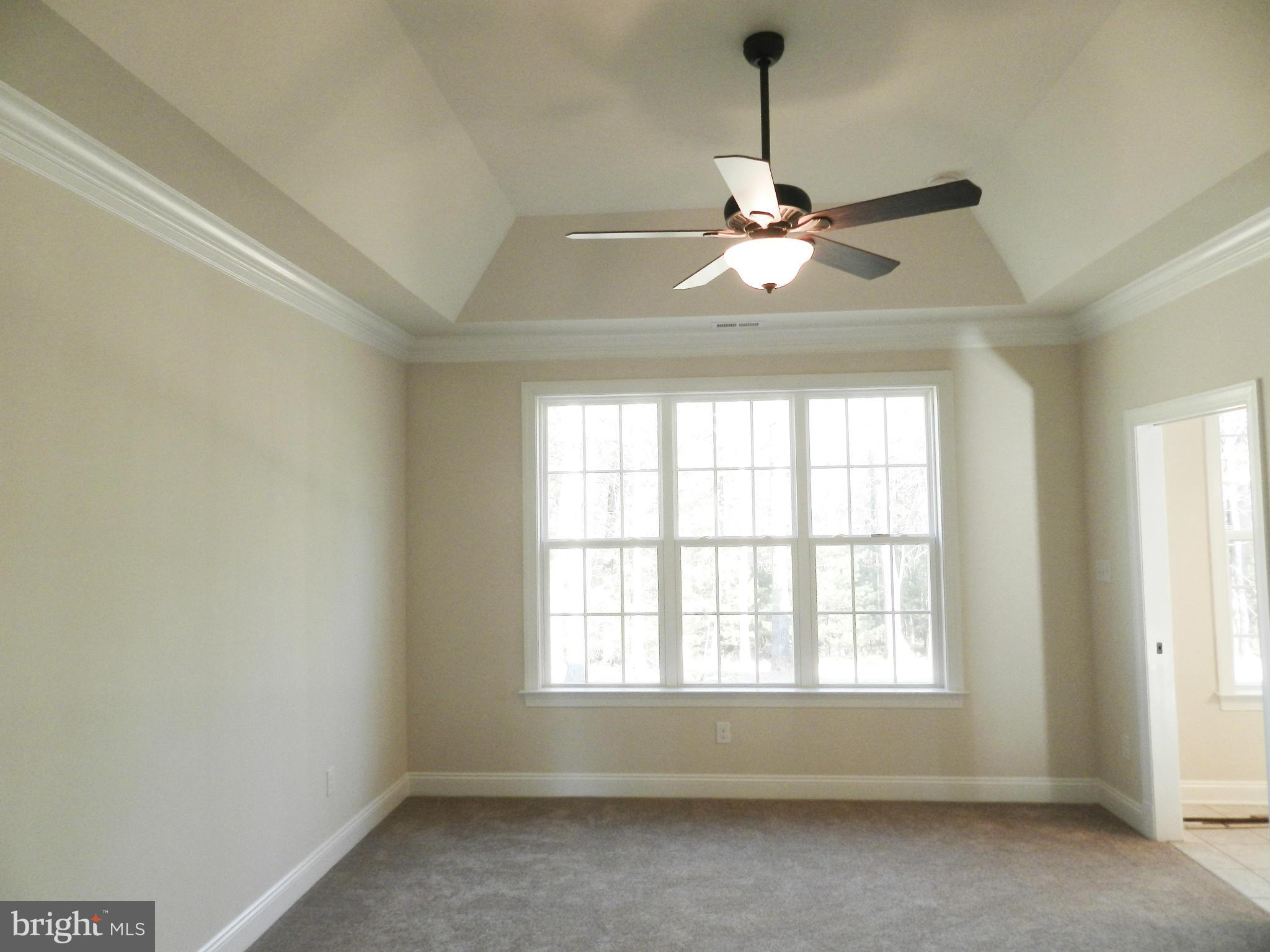 Walker's Branch Road Unionville, VA 22567 - Photo 15 of 25 Large Master w/ Trey Ceiling (actual)