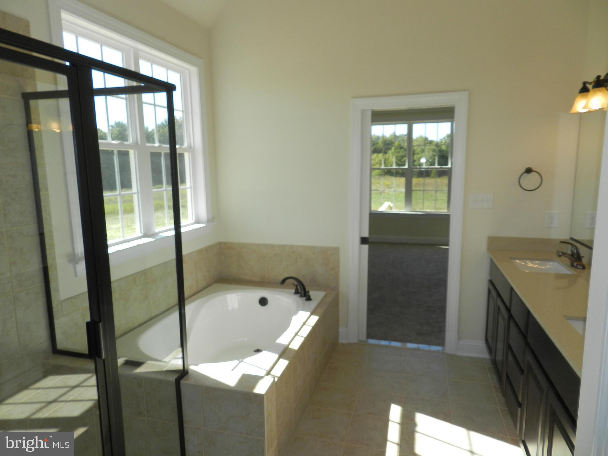 Walker's Branch Road Unionville, VA 22567 - Photo 16 of 25 Luxurious Master Bath - Similar