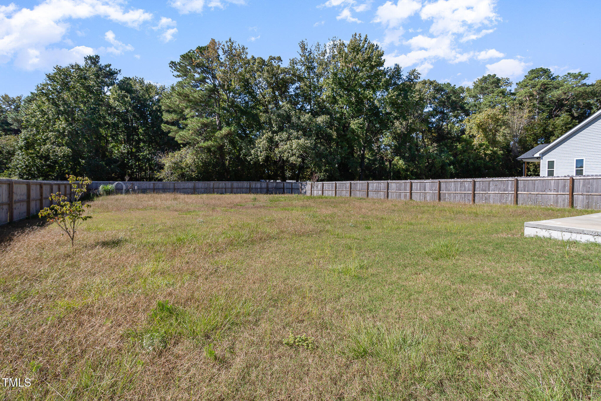 121 Wolf Rdg Court Willow Spring, NC 27592 - Photo 21 of 24 Background