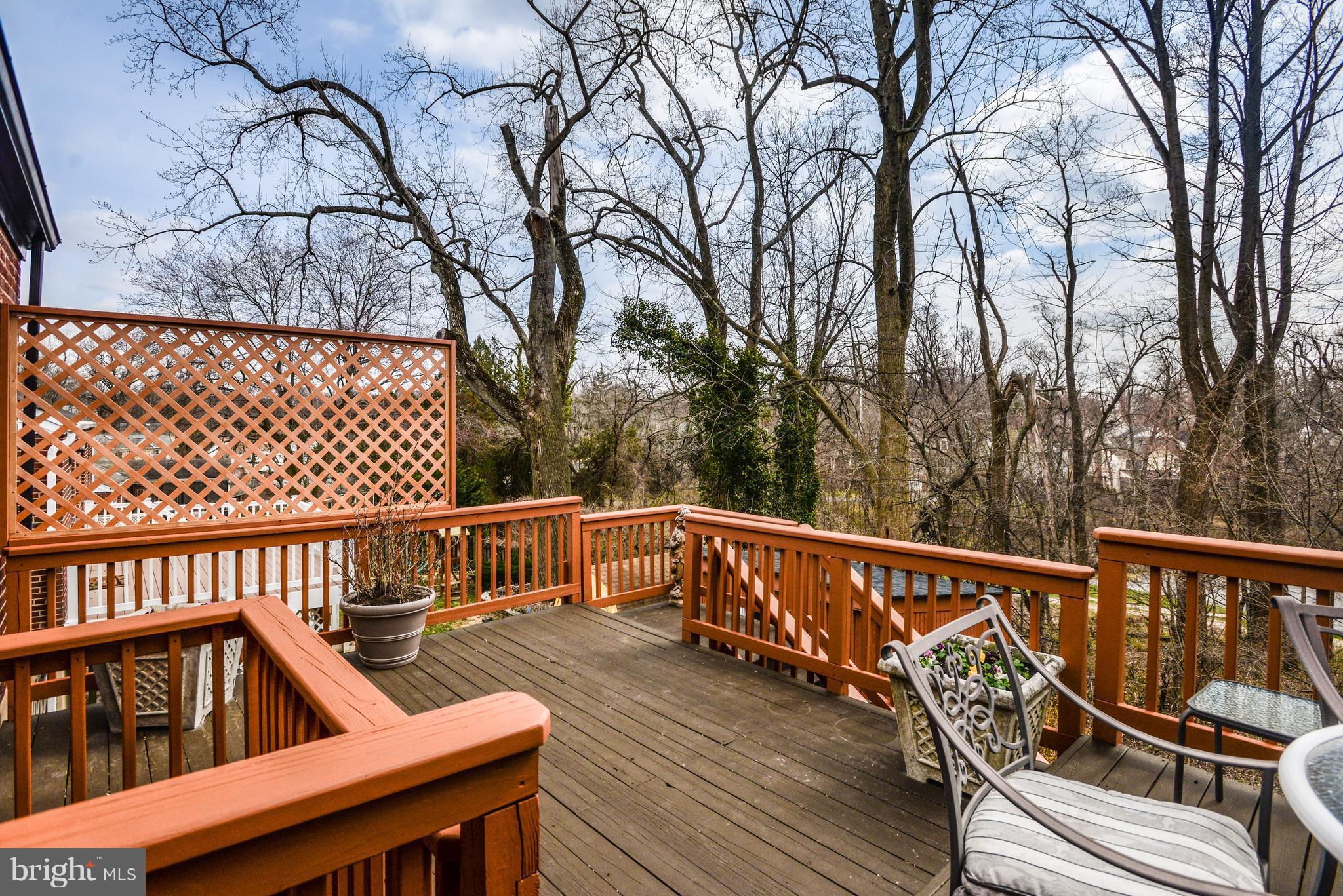 Woodsy views and fantastic bird watching