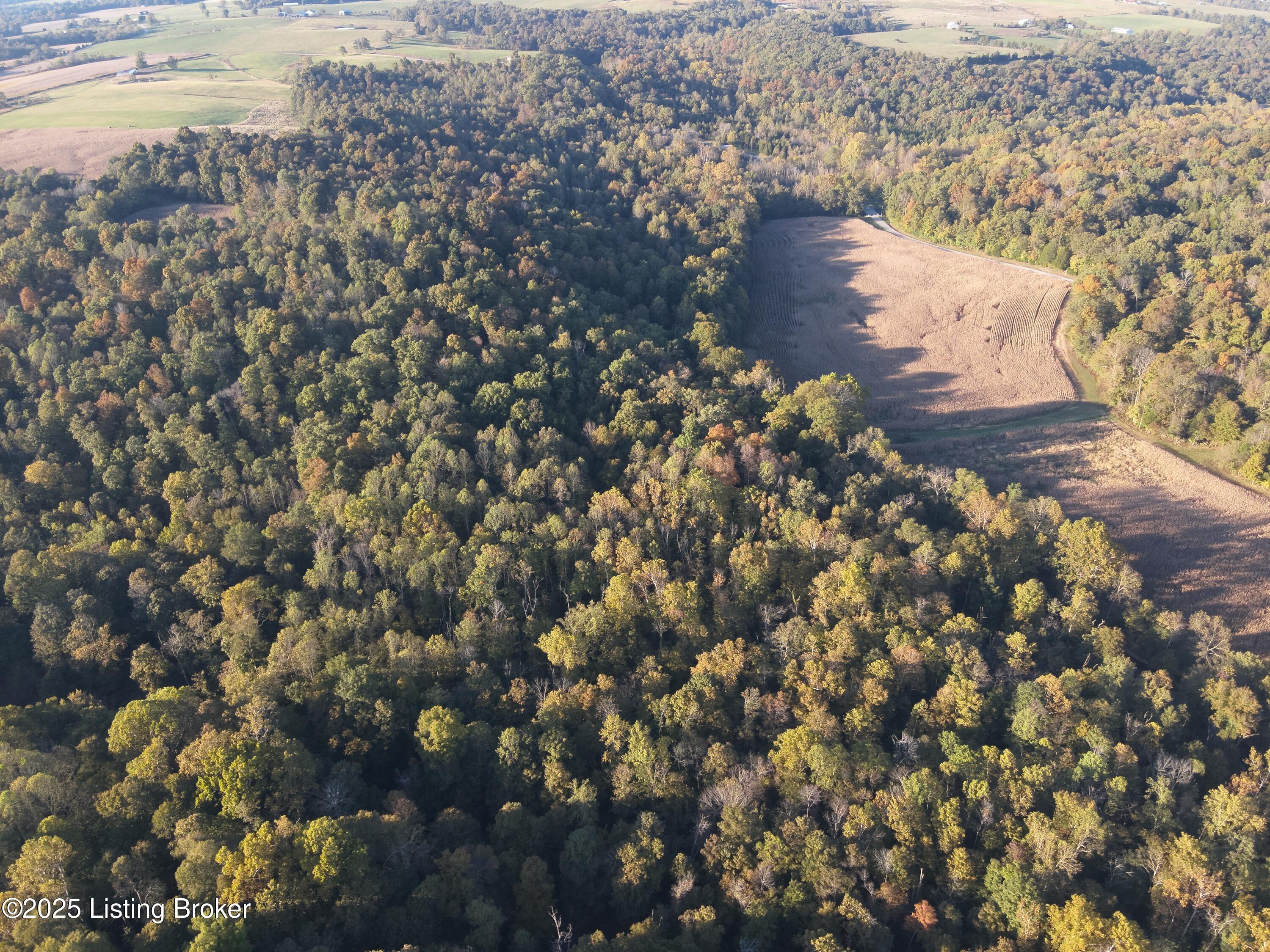 981 Limp Road Big Clifty, KY 42712 - Photo 37 of 44 DJI_20251012175842_0005_W