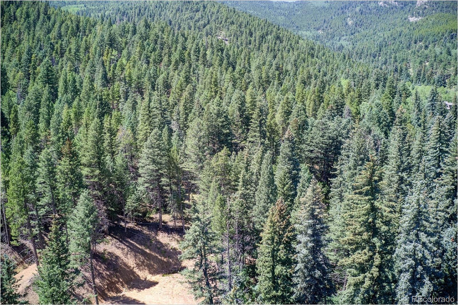 2965 Witter Gulch Road Evergreen, CO 80439 - Photo 9 of 17 Gallery Image 9