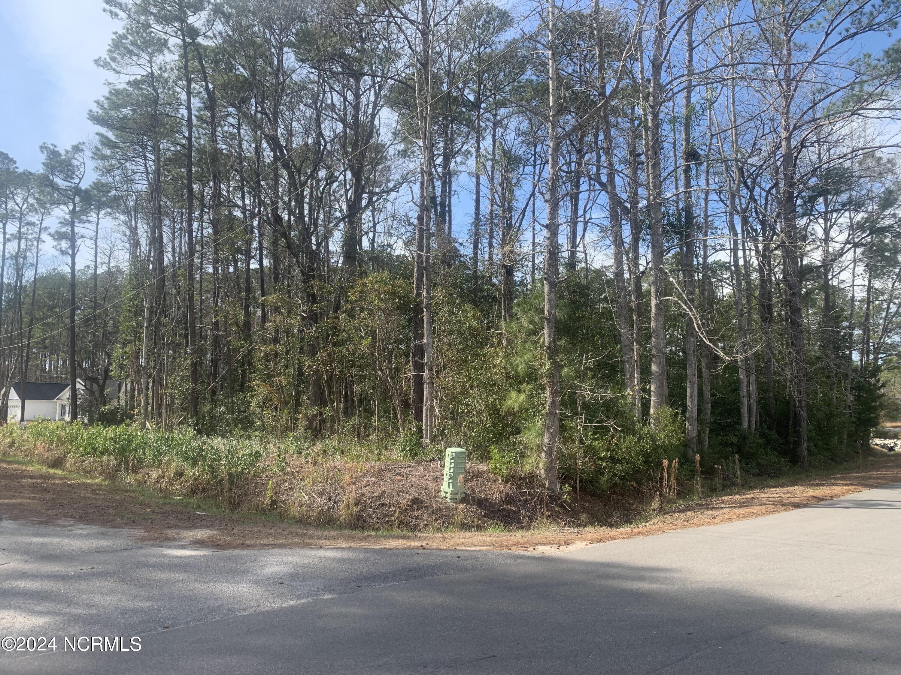 125 Boundary Loop Road Northwest Calabash, NC 28467 - Photo 1 of 7 Road View of Corner Lot