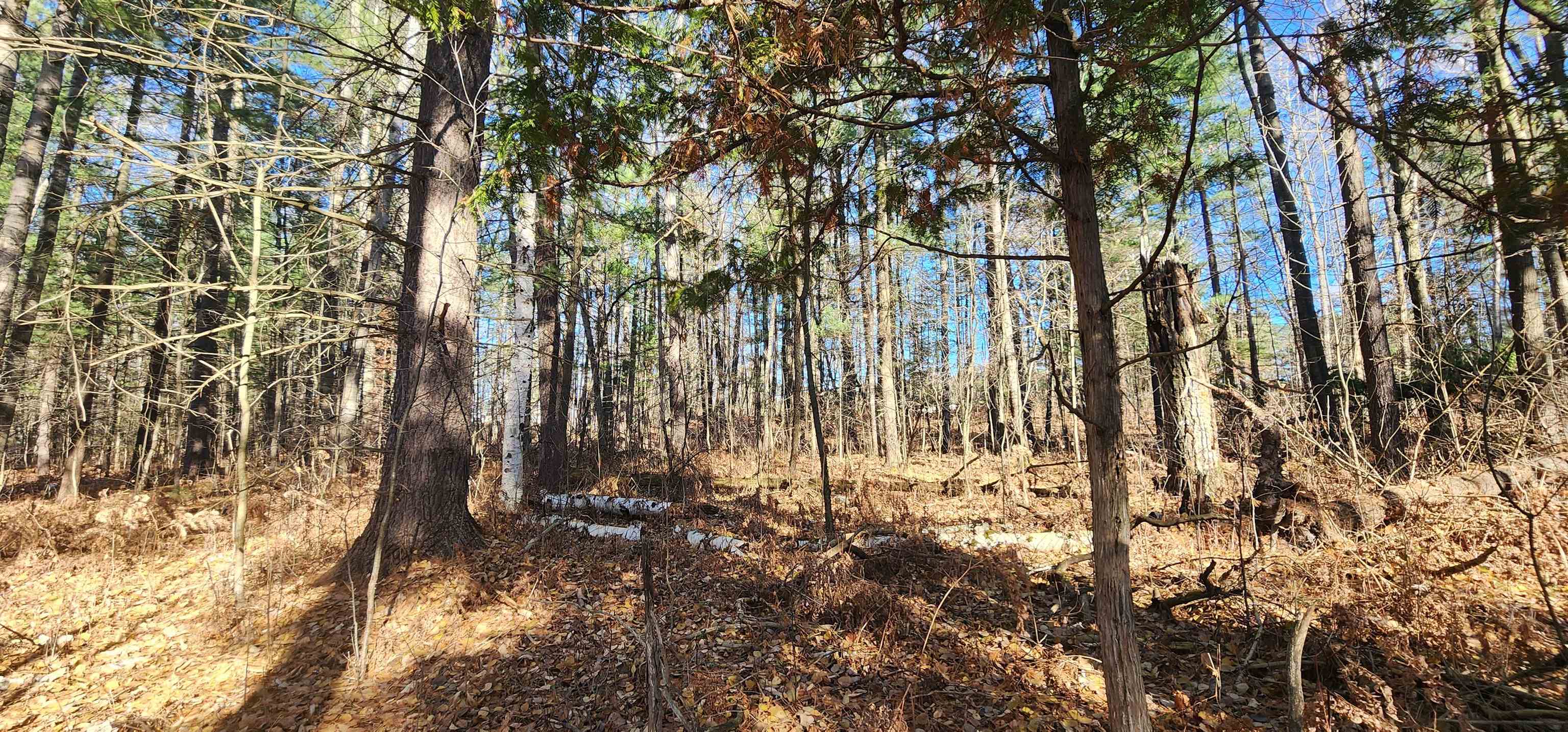 0 West Rainbow Road McBain, MI 49657 - Photo 11 of 13