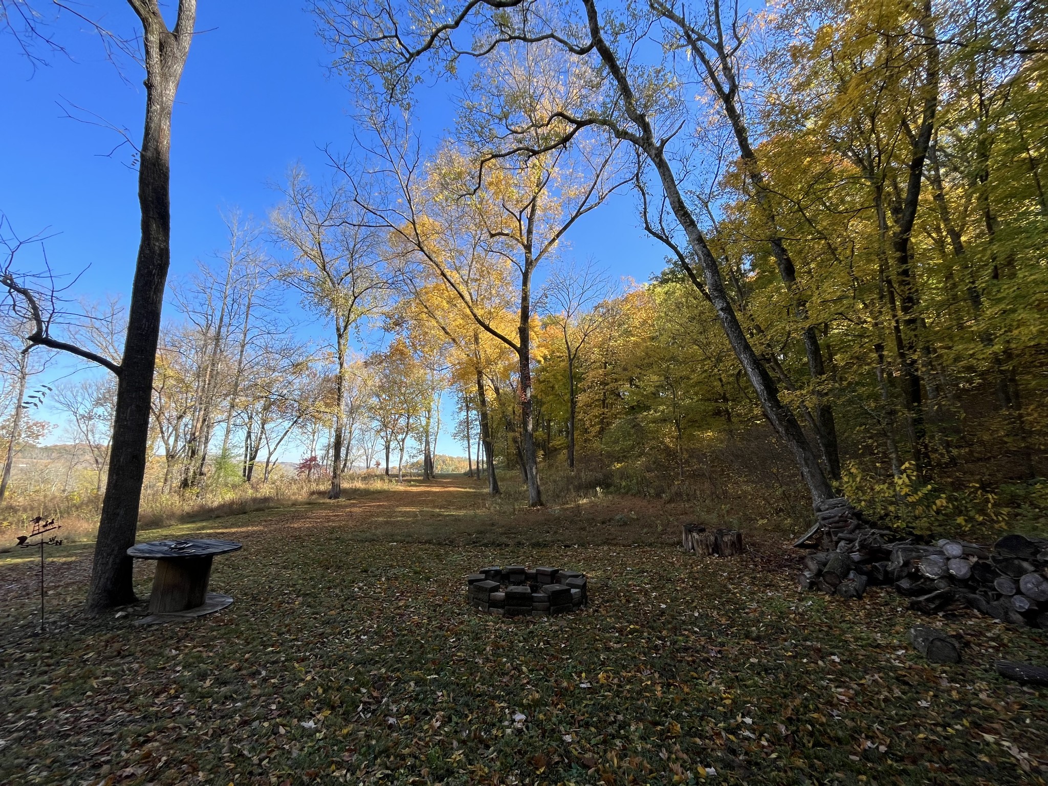 2677 Pigg Schoolhouse Road Santa Fe, TN 38482 - Photo 26 of 35 a backyard of a house with lots of green space