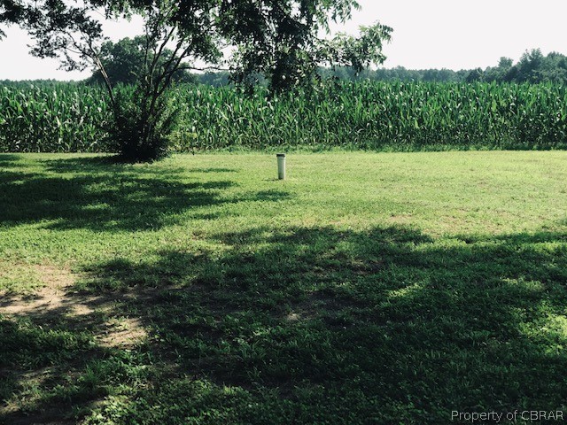 3916 Buena Vista Road Shacklefords, VA 23156 - Photo 49 of 50
