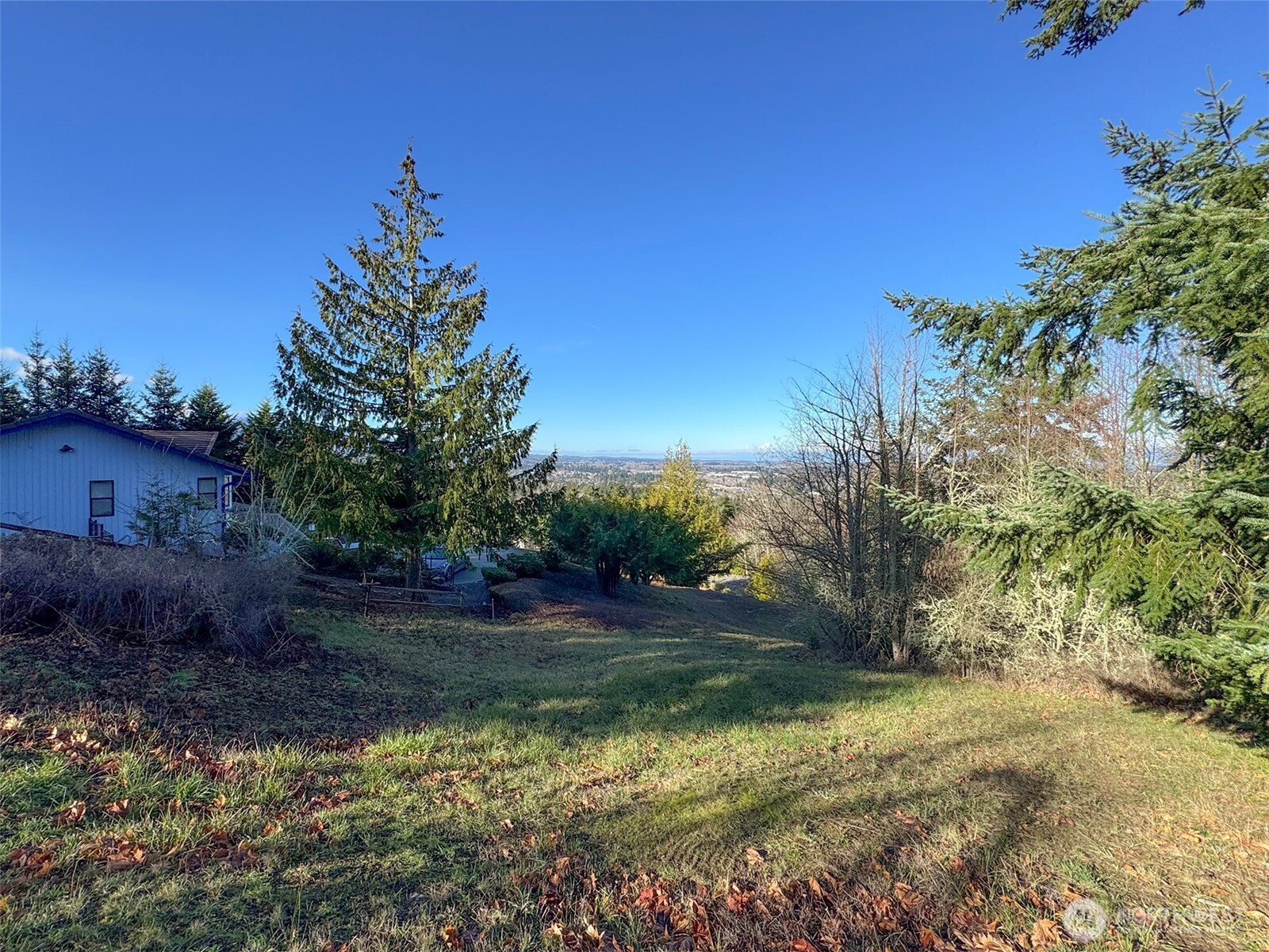 9999 Owls Nest Road Sequim, WA 98382 - Photo 19 of 32 a view of backyard with green space