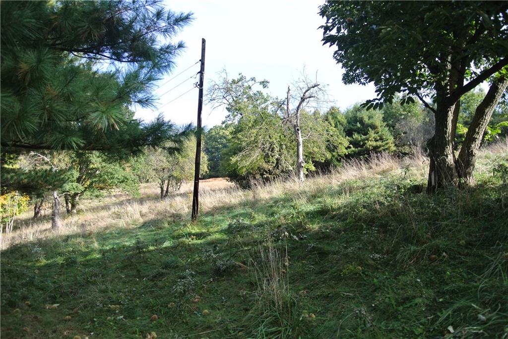 5101 Thoms Run Road Presto, PA 15142 - Photo 7 of 23 Gallery Image 7
