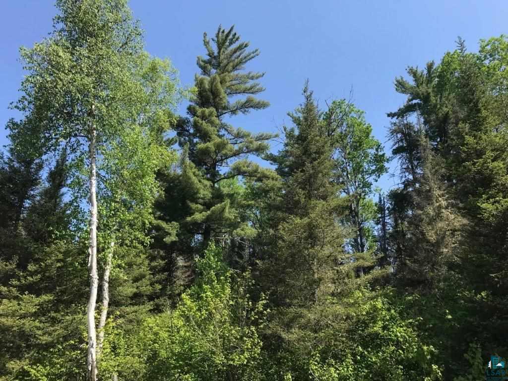 Xxx Fredrickson Road Isabella, MN 55607 - Photo 3 of 9 Gallery Image 3