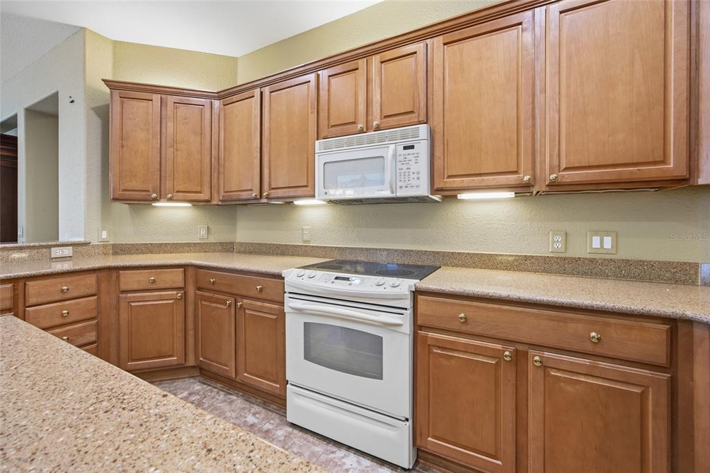 9029 Southeast 130th Loop Summerfield, FL 34491 - Photo 16 of 55 a kitchen with cabinets appliances and a sink