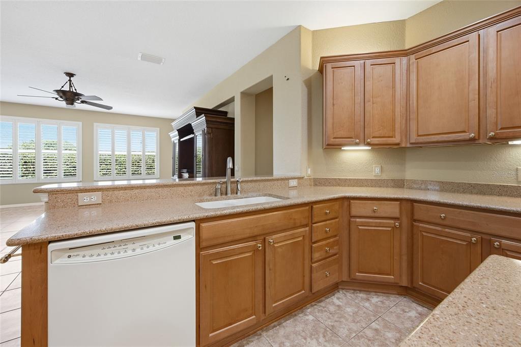 9029 Southeast 130th Loop Summerfield, FL 34491 - Photo 17 of 55 a kitchen with a sink and cabinets