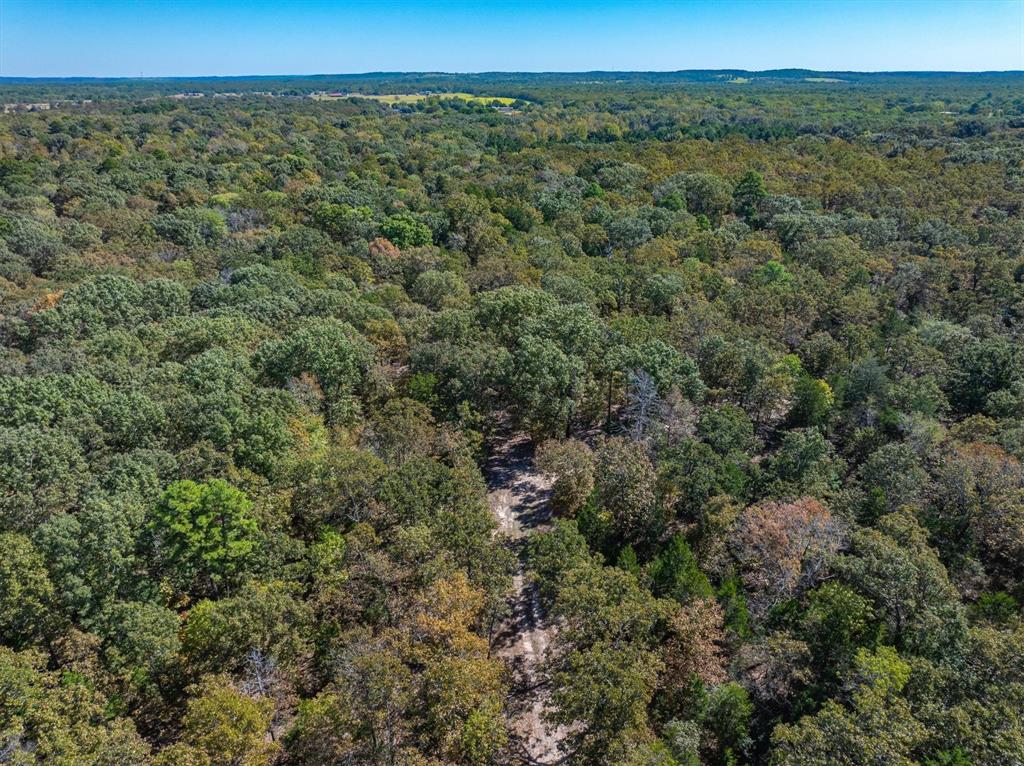 3 Pvt Road Ben Wheeler, TX 75754 - Photo 1 of 1 Gallery Image 1