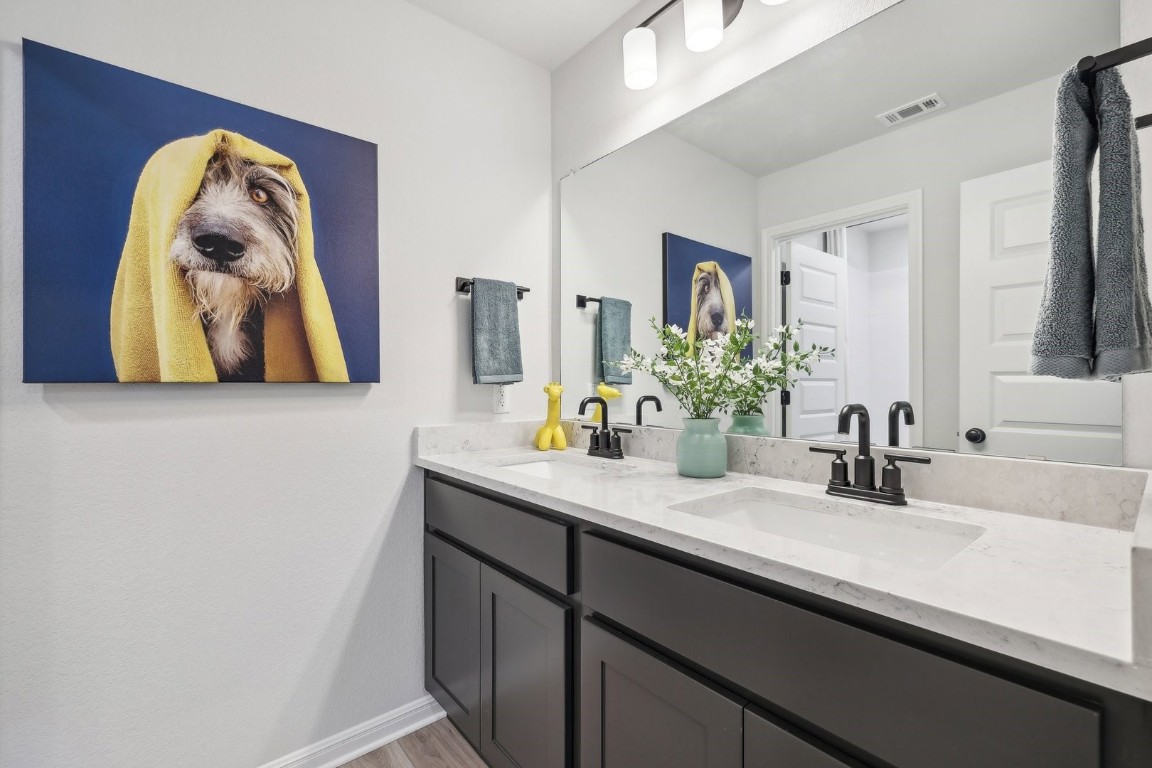 13407 Derby Ride Drive Buda, TX 78610 - Photo 13 of 19