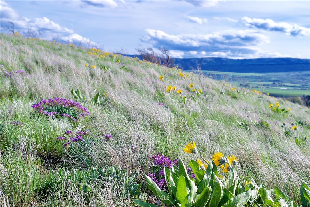 760 Ellensburg Ranches Road Ellensburg, WA 98926 - Photo 21 of 25 Gallery Image 21