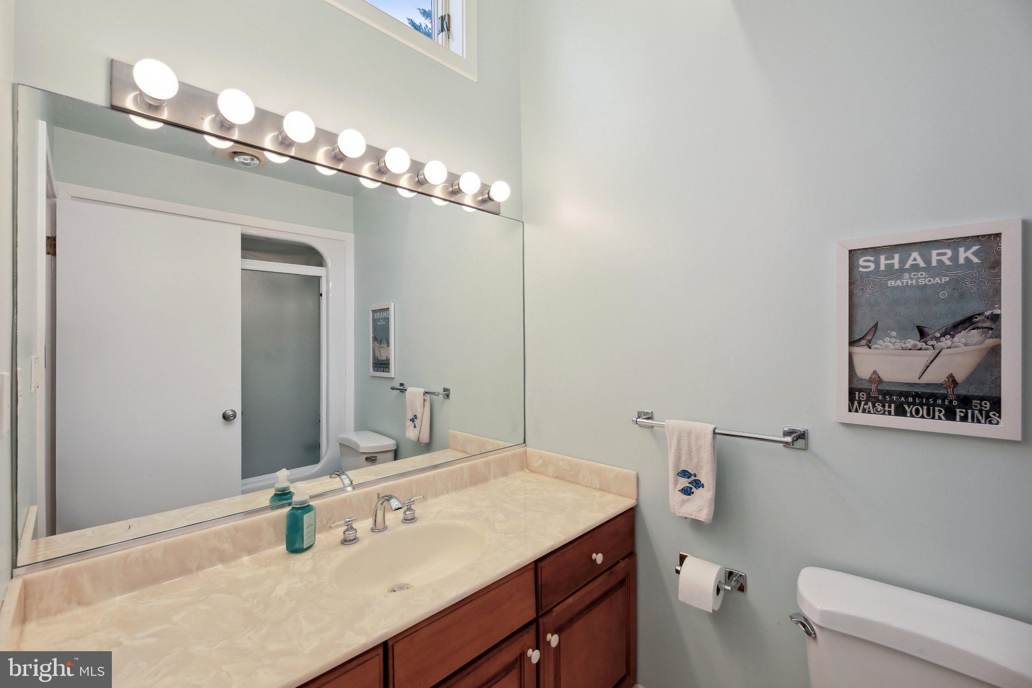 1601 Cliff Drive Edgewater, MD 21037 - Photo 39 of 86 a bathroom with a sink vanity and a mirror