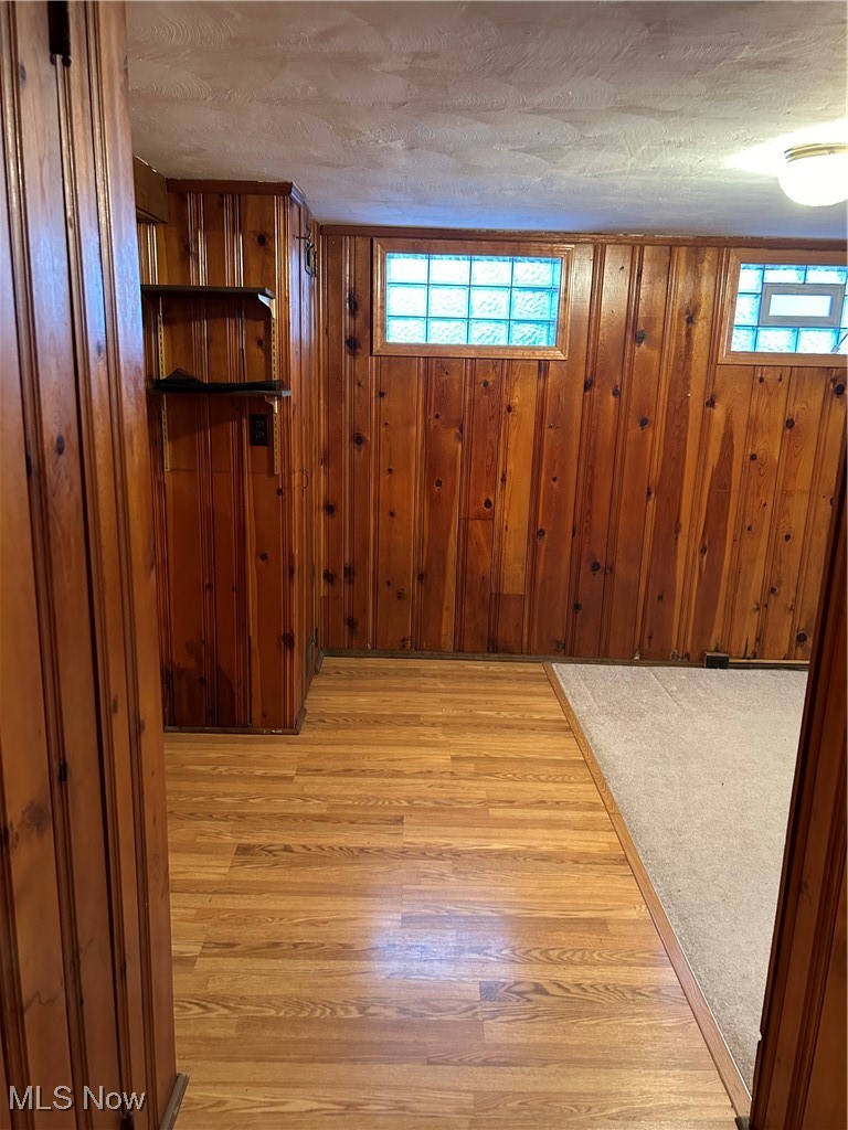 1094 Plainfield Road Cleveland, OH 44121 - Photo 32 of 41 Basement featuring plenty of natural light, light wood-type flooring, and a textured ceiling