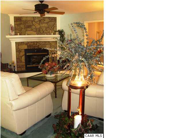 2854 Roundabout Road Louisa, VA 23093 - Photo 23 of 29 a living room with furniture and a fireplace