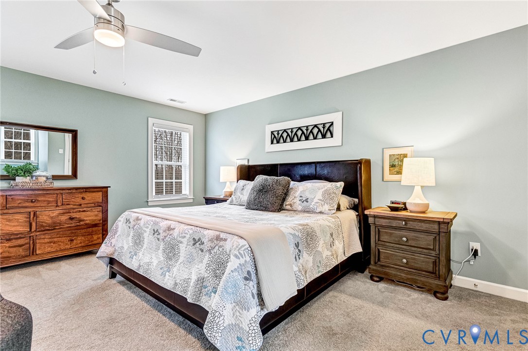 14436 Overlook Ridge Lane Beaverdam, VA 23015 - Photo 25 of 82