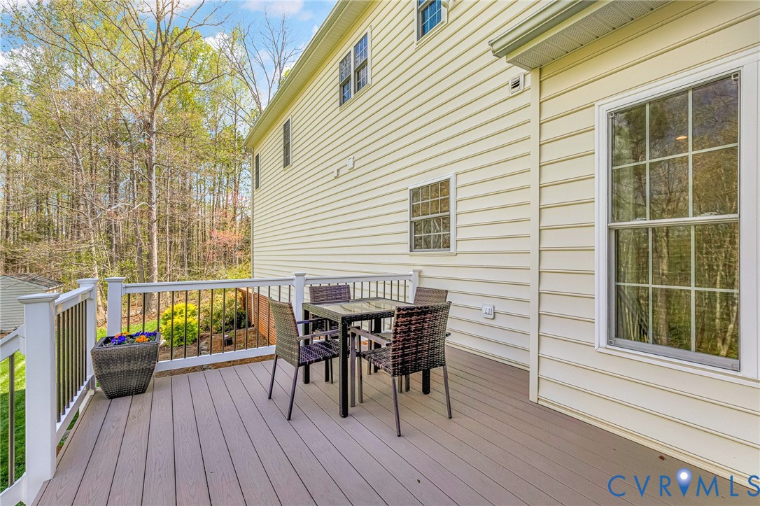 14436 Overlook Ridge Lane Beaverdam, VA 23015 - Photo 58 of 82
