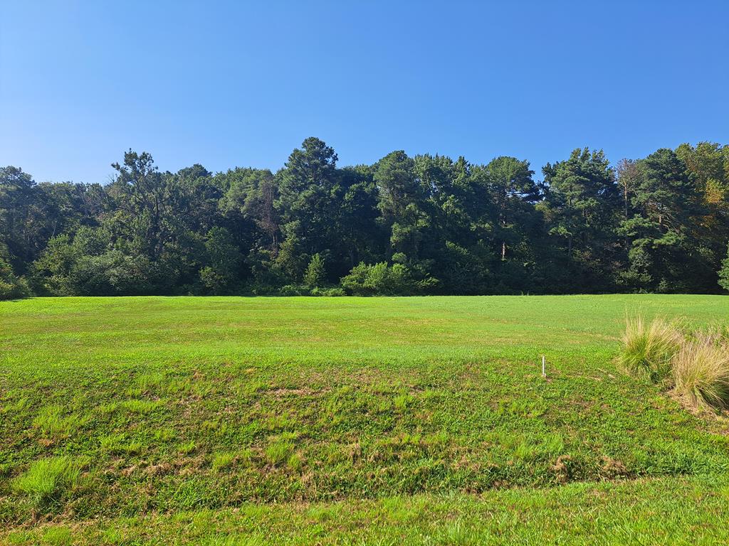 Lot 29 White Tail Road, Unit 29 Onancock, VA 23417 - Photo 1 of 5