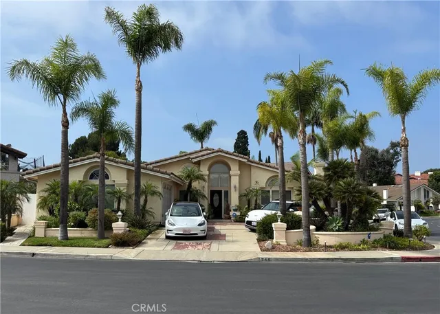 a view of street with palm trees