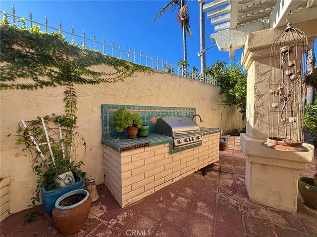 a view of a backyard with plants