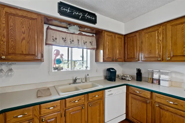 a kitchen with stainless steel appliances a sink dishwasher window and cabinets