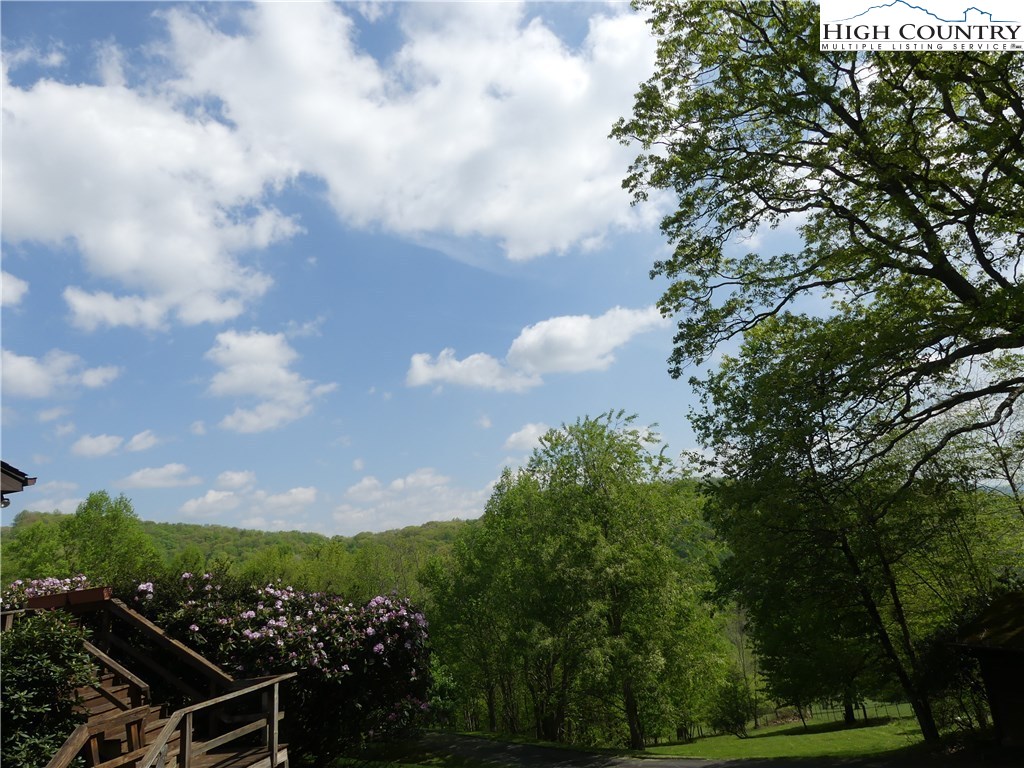 351 Herbs Hollow Road Boone, NC 28607 - Photo 2 of 10