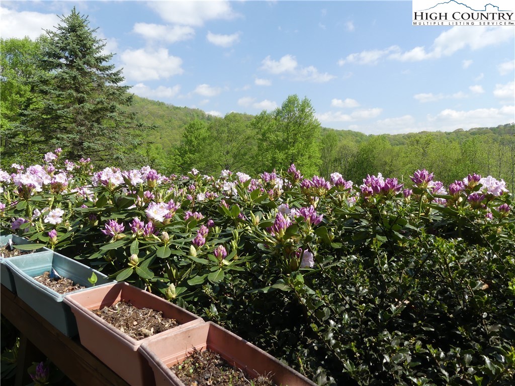 351 Herbs Hollow Road Boone, NC 28607 - Photo 6 of 10