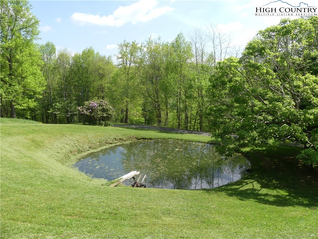 351 Herbs Hollow Road Boone, NC 28607 - Photo 8 of 10