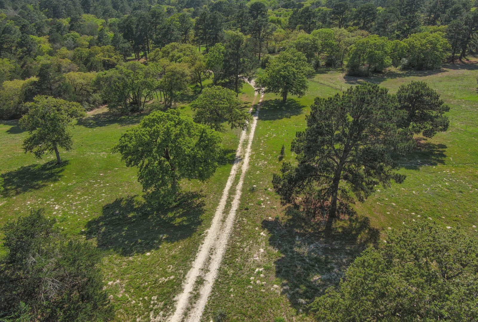 490 John Craft Road Red Rock, TX 78662 - Photo 38 of 40