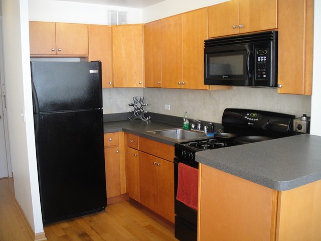 1 East Scott Street, Unit 406 Chicago, IL 60610 - Photo 3 of 6