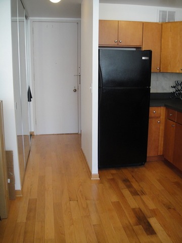 1 East Scott Street, Unit 406 Chicago, IL 60610 - Photo 4 of 6