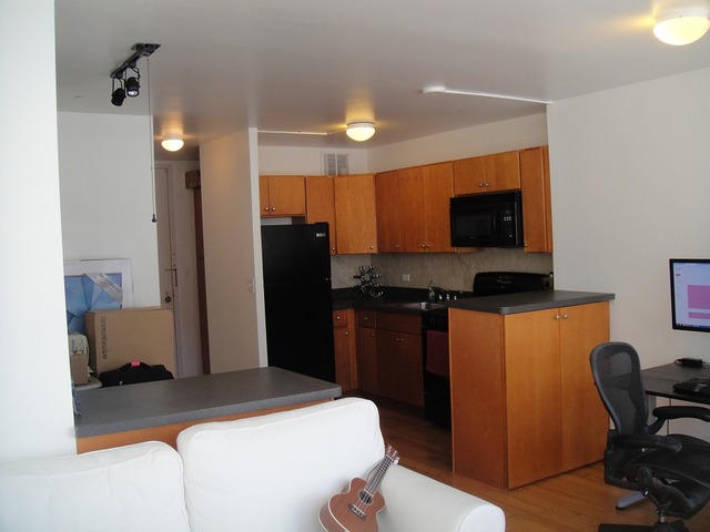 1 East Scott Street, Unit 406 Chicago, IL 60610 - Photo 5 of 6