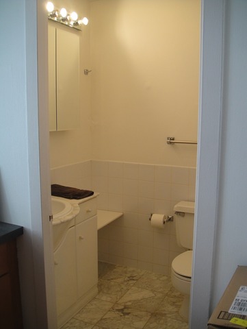 1 East Scott Street, Unit 406 Chicago, IL 60610 - Photo 6 of 6