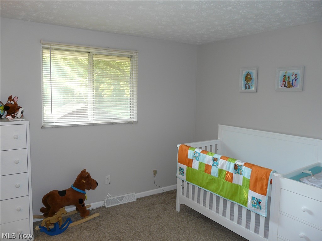 6400 Cary Road North Ridgeville, OH 44039 - Photo 16 of 34 Gallery Image 16