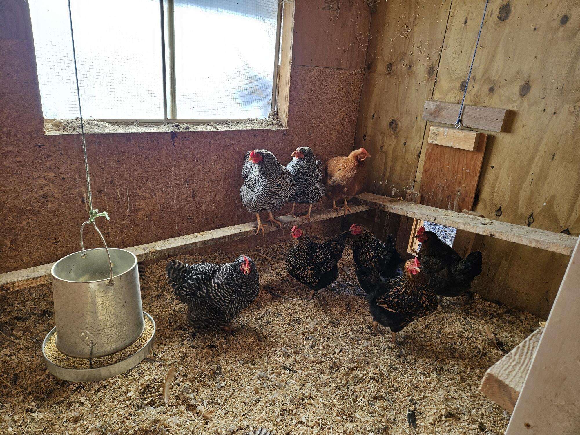 456 Temple Road Farmington, ME 04938 - Photo 70 of 97 20260205_140524_resized