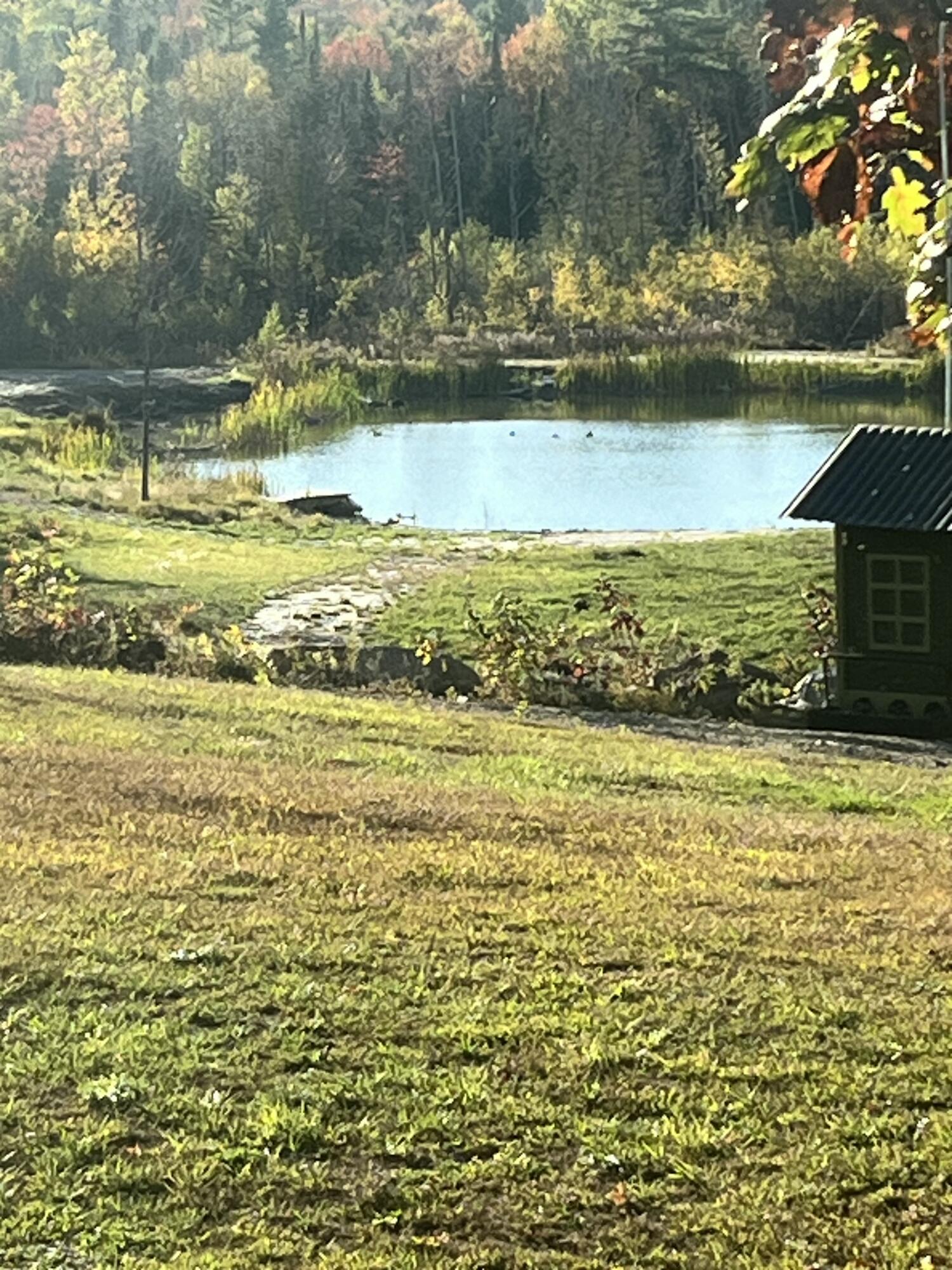 456 Temple Road Farmington, ME 04938 - Photo 92 of 97 IMG_0390